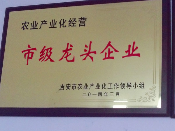 資質榮譽 