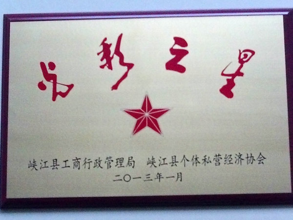 資質榮譽