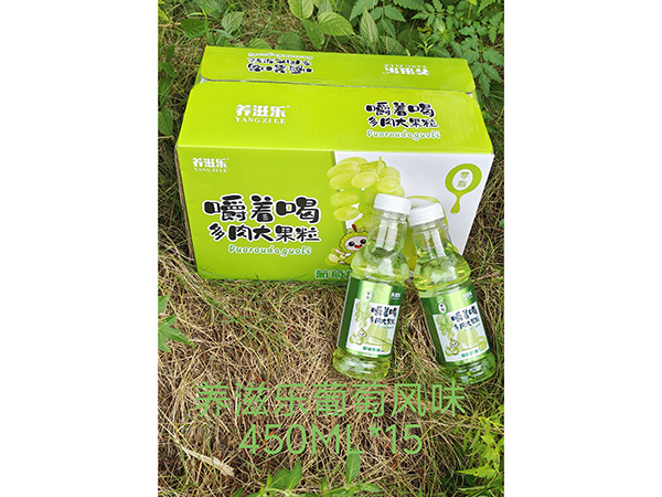 養滋樂葡萄風味 450ML*15
